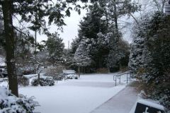 Library outside midvale garden with snow1